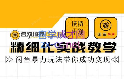 合众城品商学院·闲鱼精细化运营入门+高阶实战教学-乐学教程网