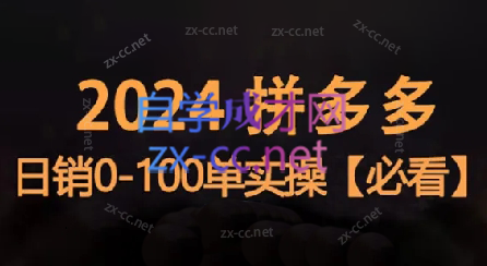 恒哥·2024拼多多日销0-100单实操-乐学教程网