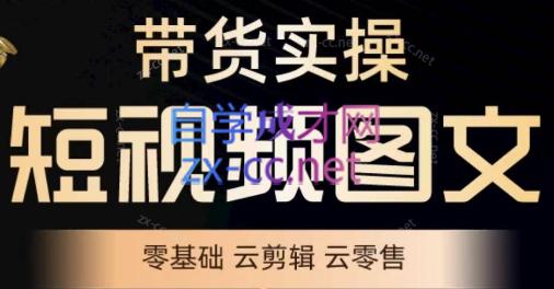 鑫哥·2024零基础短视频带货实操营-乐学教程网