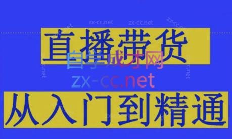 东哥·2024抖音直播带货直播间拆解-乐学教程网