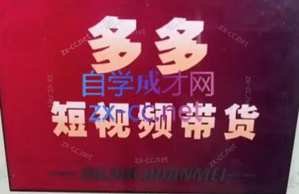 老旋·2024拼多多视频变现教学训练营-乐学教程网